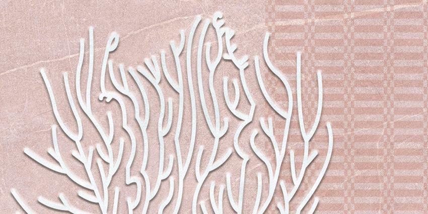 dettaglio carta da parati corallo sardegna