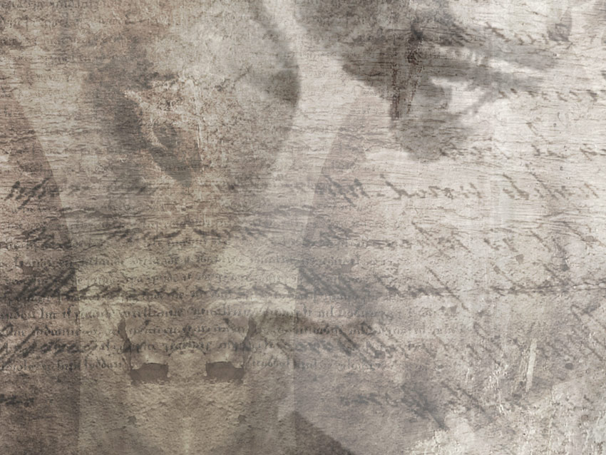 Dettaglio carta da parati