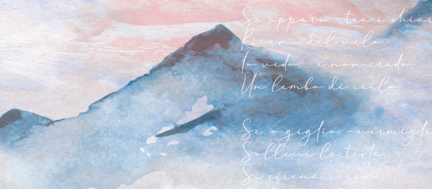 dettaglio carta da parati sentieri silenziosi