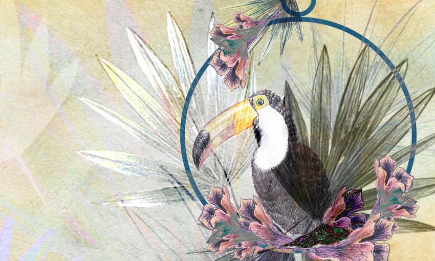 Decoro Nature - Tucano tropicale dettaglio dettaglio carta da parati tucano tropicale