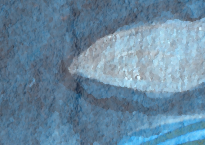 dettaglio carta da parati acquario