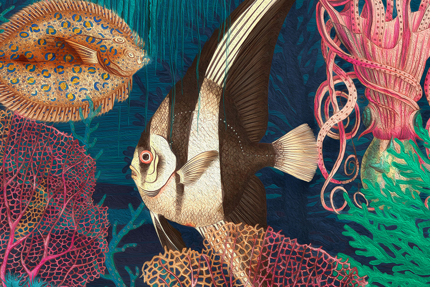 dettaglio carta da parati sea