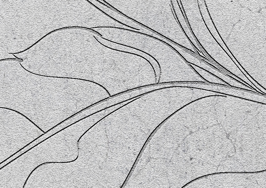 dettaglio carta da parati texture e fiori