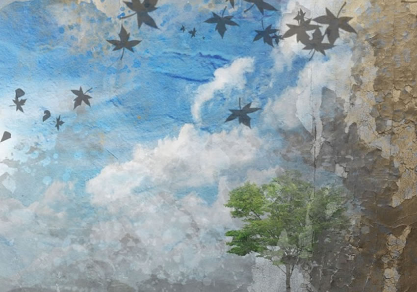 dettaglio carta da parati bambino con fiore