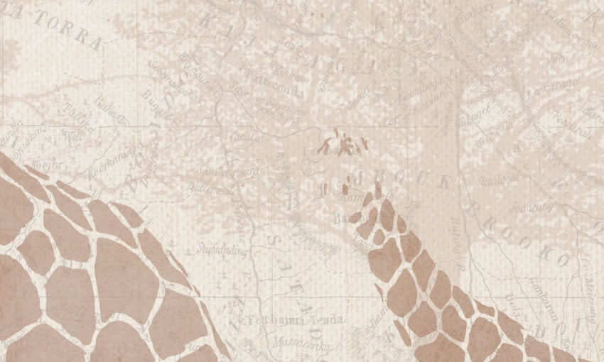 dettaglio carta da parati cameretta