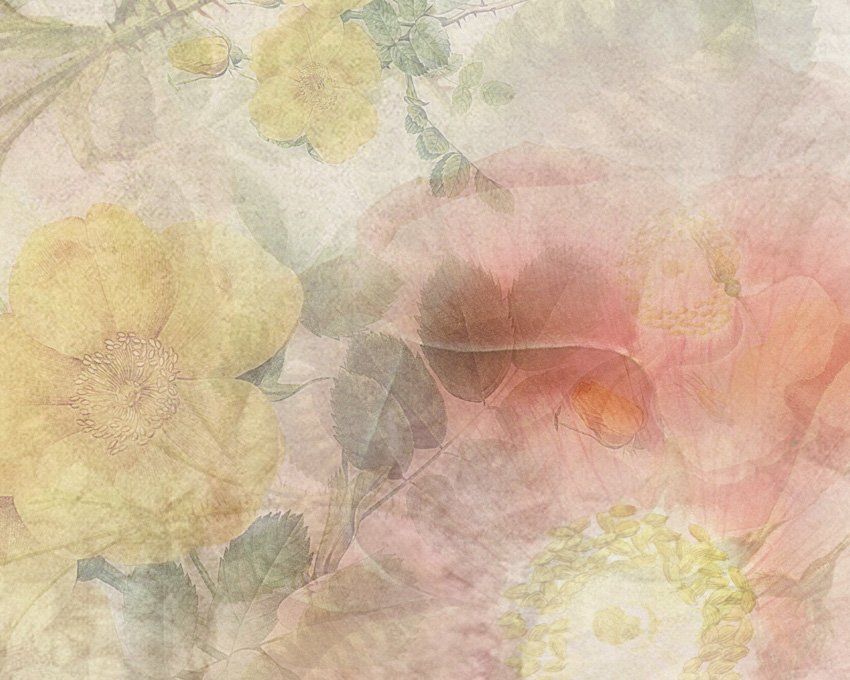 dettaglio carta da parati fiori delicati