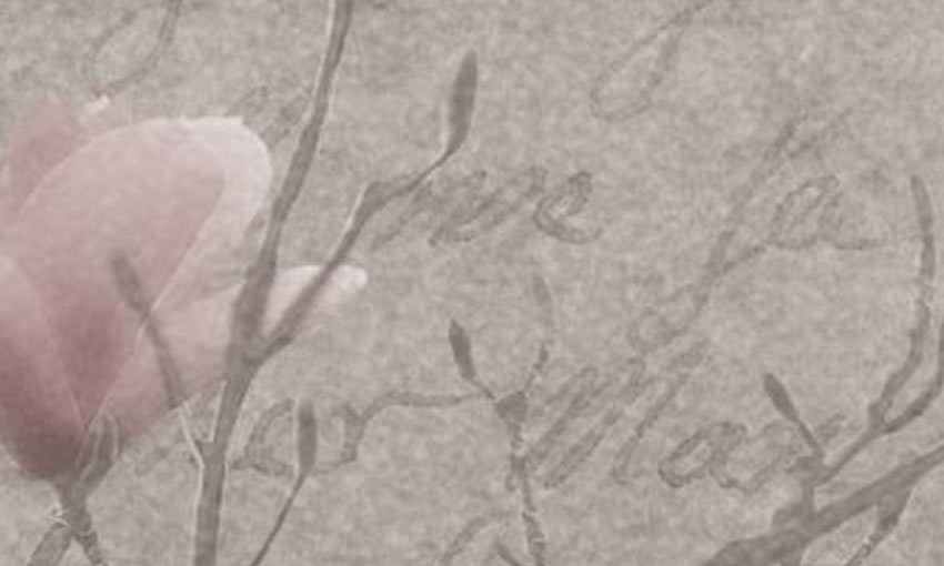 dettaglio carta da parati luna