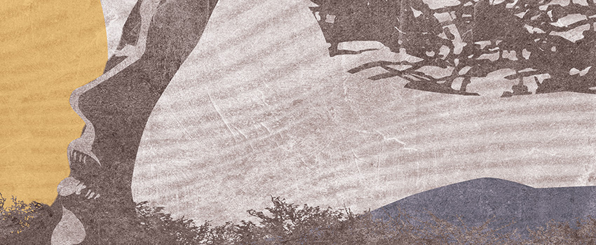 dettaglio carta da parati terra del vento