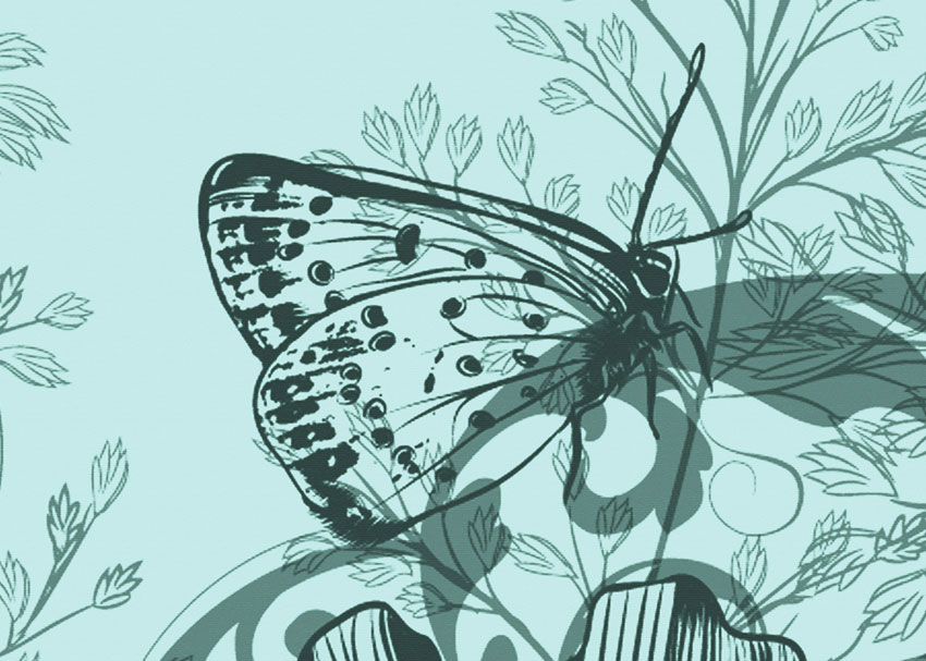 drttaglio carta da parati volo sui fiori