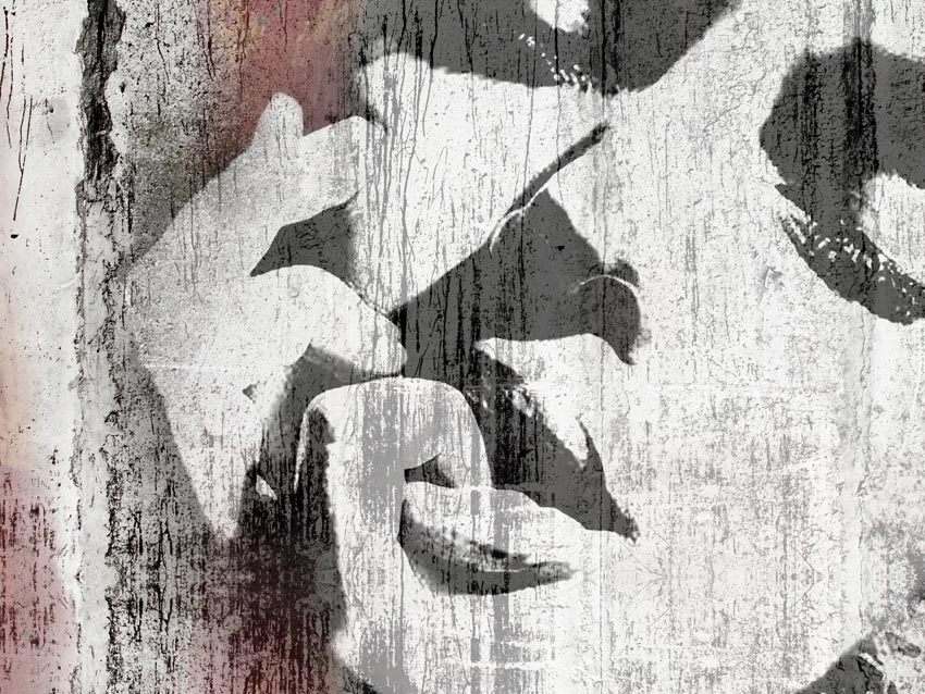 Dettaglio della grafica