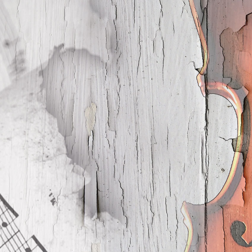 dettaglio carta da parati violino