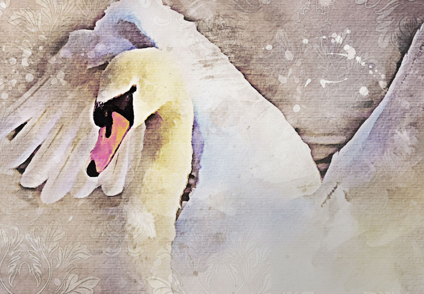 dettaglio carta da parati cigno