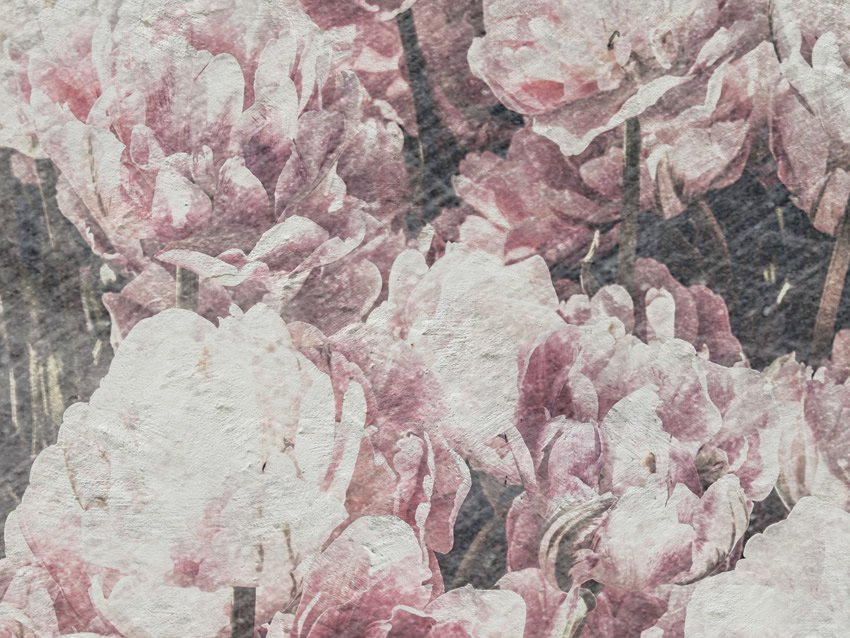 dettaglio carta da parati distesa di fiori