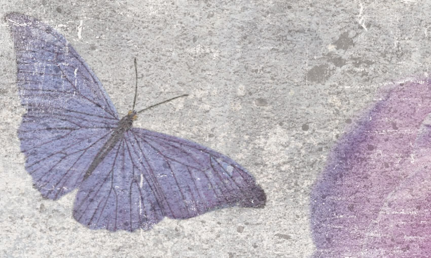 dettaglio carta da parati farfalle