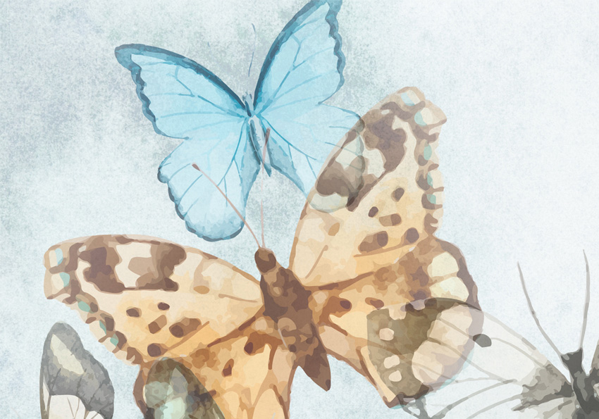 dettaglio carta da parati farfalle colori