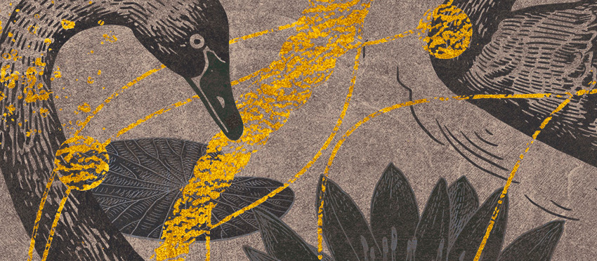 dettaglio carta da parati i cigni di praga