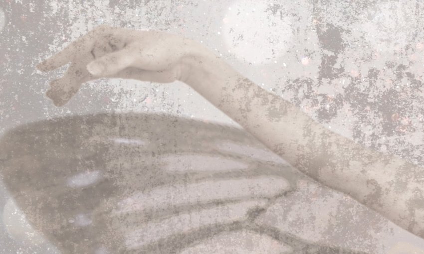 dettaglio carta da parati il volo