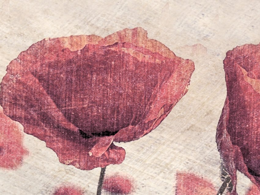 dettaglio carta da parati papaveri