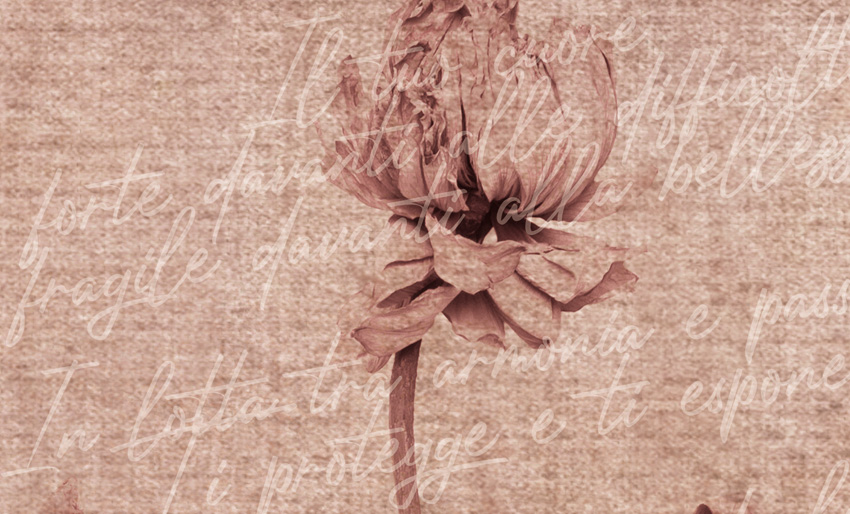 dettaglio carta da parati poesia