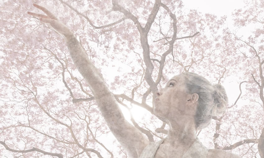 dettaglio carta da parati primavera