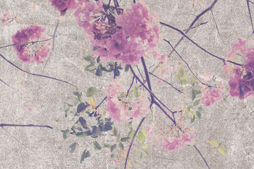 dettaglio carta da parati rami fioriti