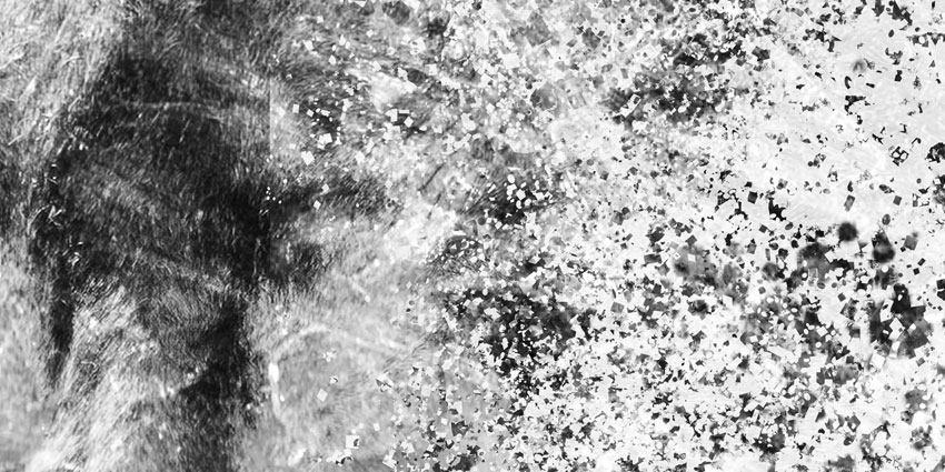 dettaglio carta da parati giraffa