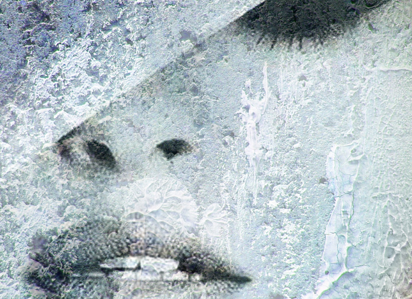 dettaglio carta da parati face