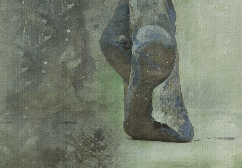 dettaglio carta da parati gambe art