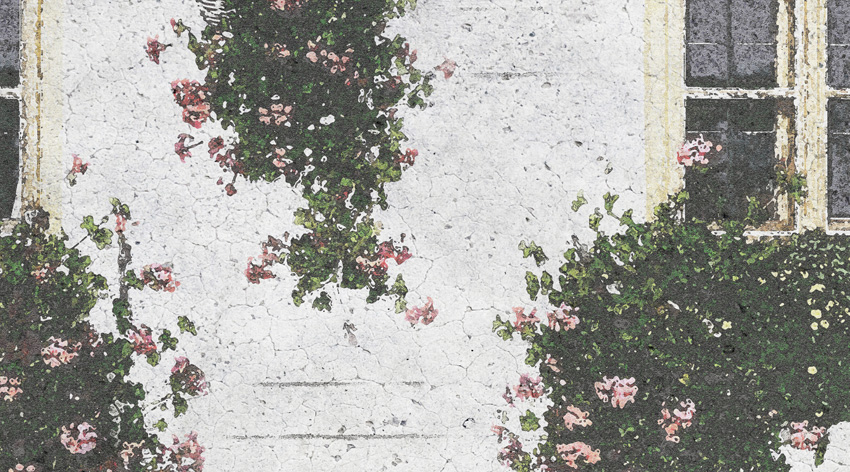 dettaglio carta da parati parete acquerello