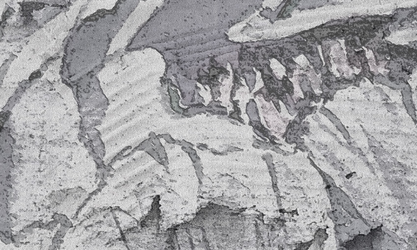 dettaglio carta da parati fiori su parete