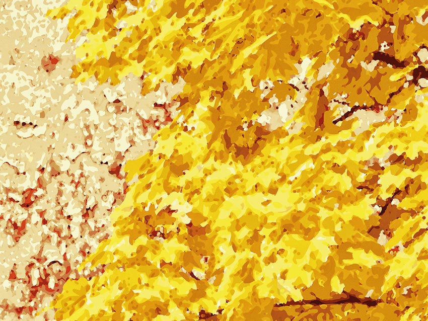Decoro Nature - Foglie d’autunno dettaglio Dettaglio di colore per foglie d’autunno
