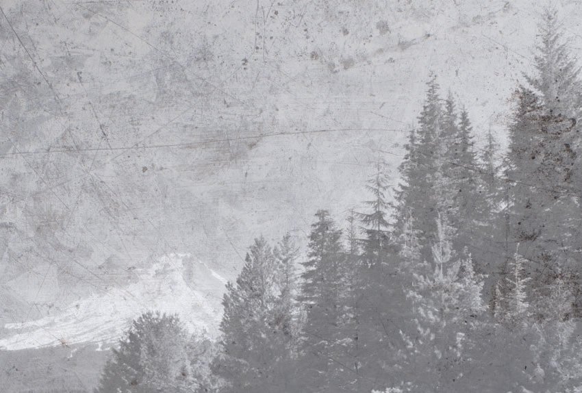 dettaglio della carta da parati lago