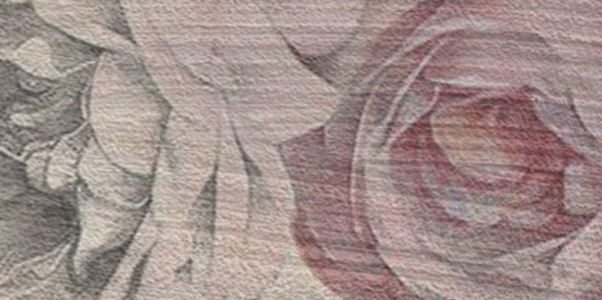 dettaglio carta da parati libellule