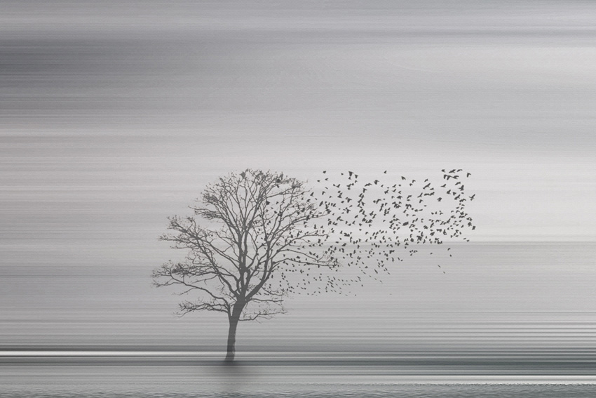 dettaglio carta da parati mare e cielo