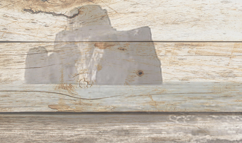 dettaglio carta da parati masua