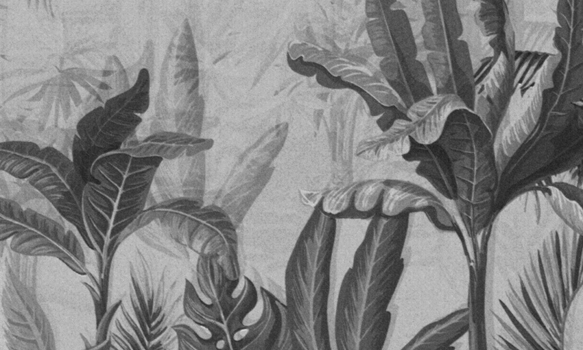 dettaglio carta da parati natura in carta