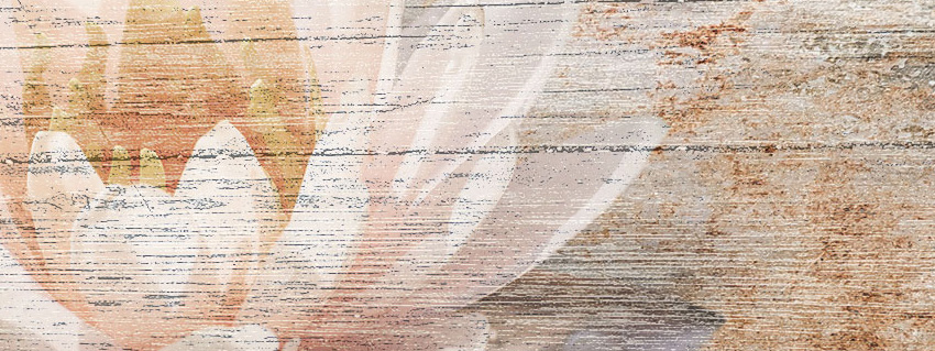 dettaglio carta da parati ninfea