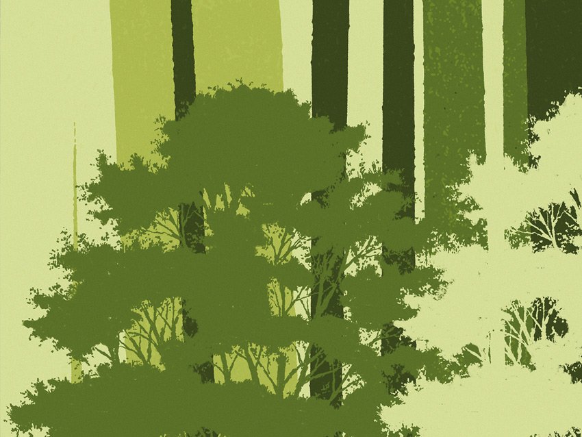 Decoro Nature - Rami e foglie dettaglio Dettaglio della carta da parati rami e foglie