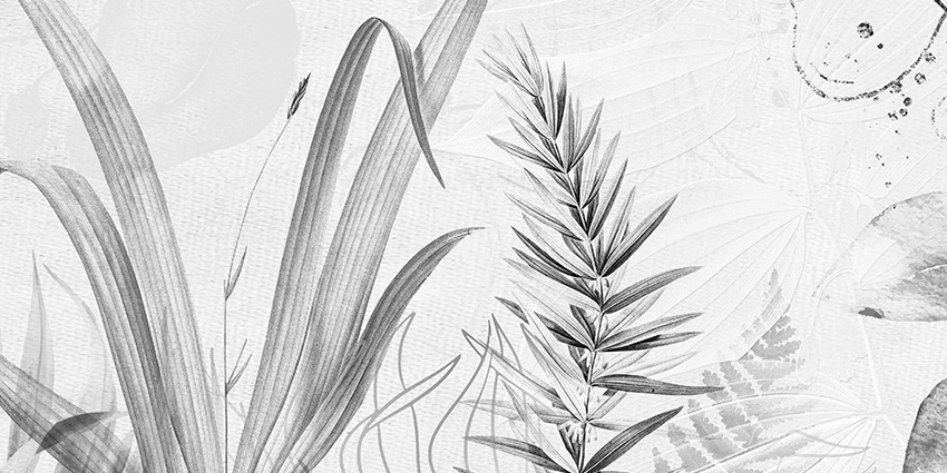 dettaglio carta da parati tropical bn