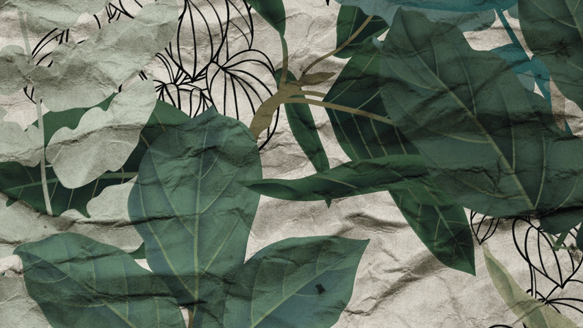 dettaglio carta da parati tropicale vintage