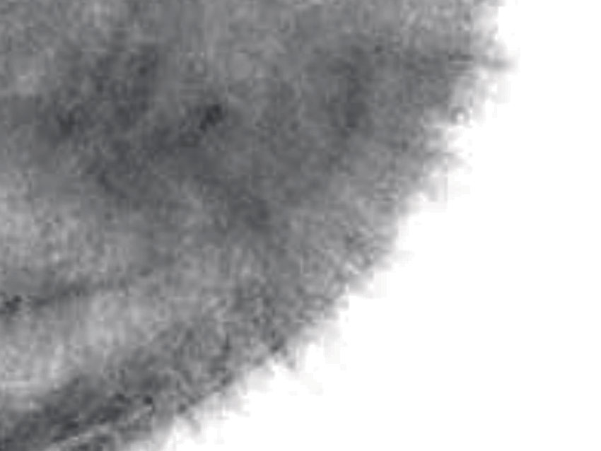 dettaglio carta da parati bolle