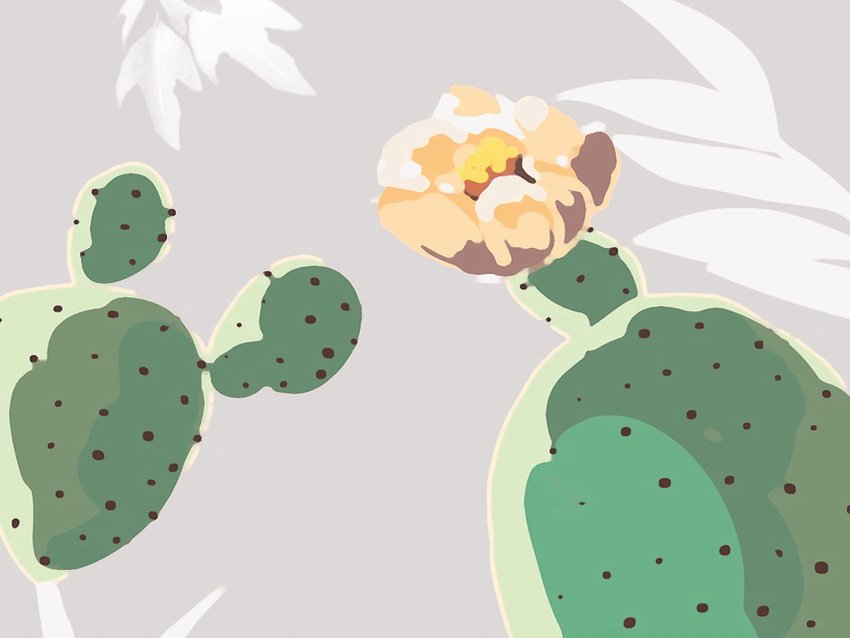 dettaglio carta da parati cactus