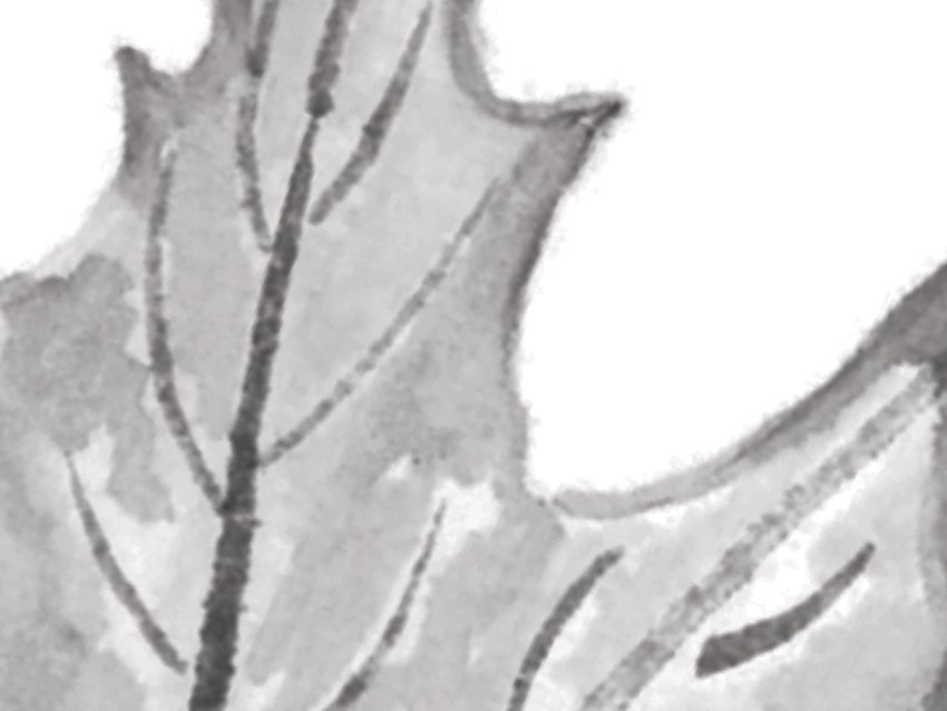 dettaglio carta da parati foglie che cadono