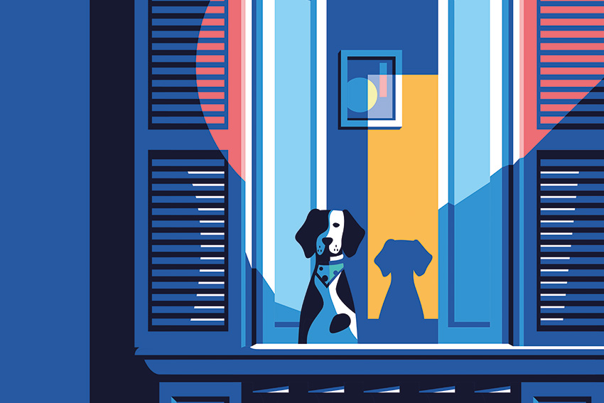 dettaglio carta da parati window paw