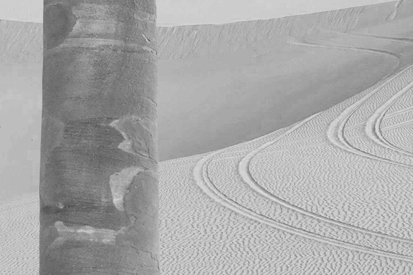 dettaglio carta da parati dakar