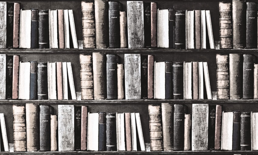 dettaglio carta da parati libreria
