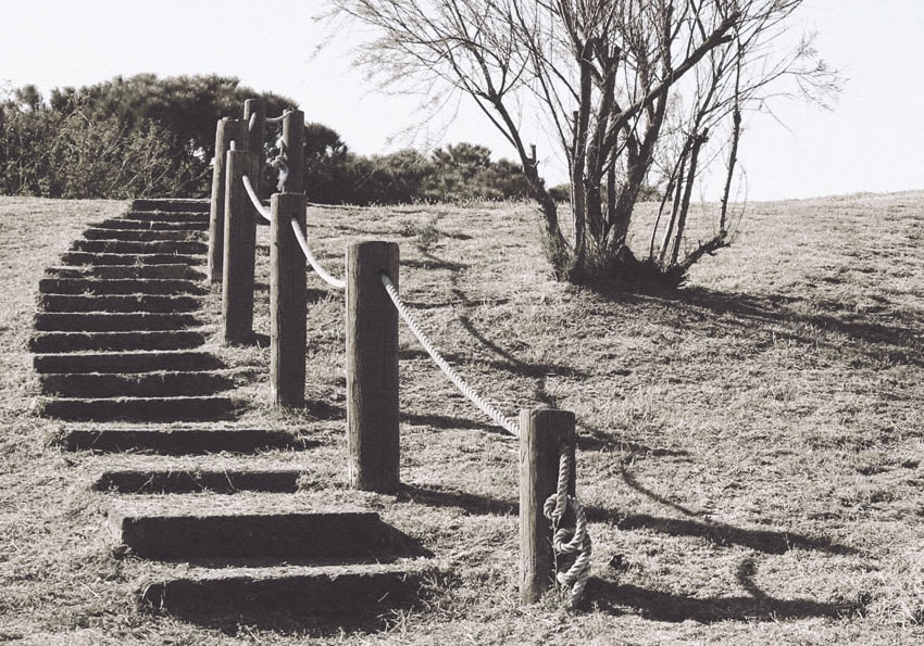 dettaglio carta da parati scale su prato