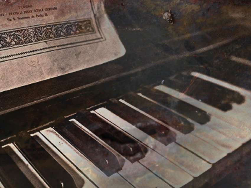 Dettaglio della carta da parati