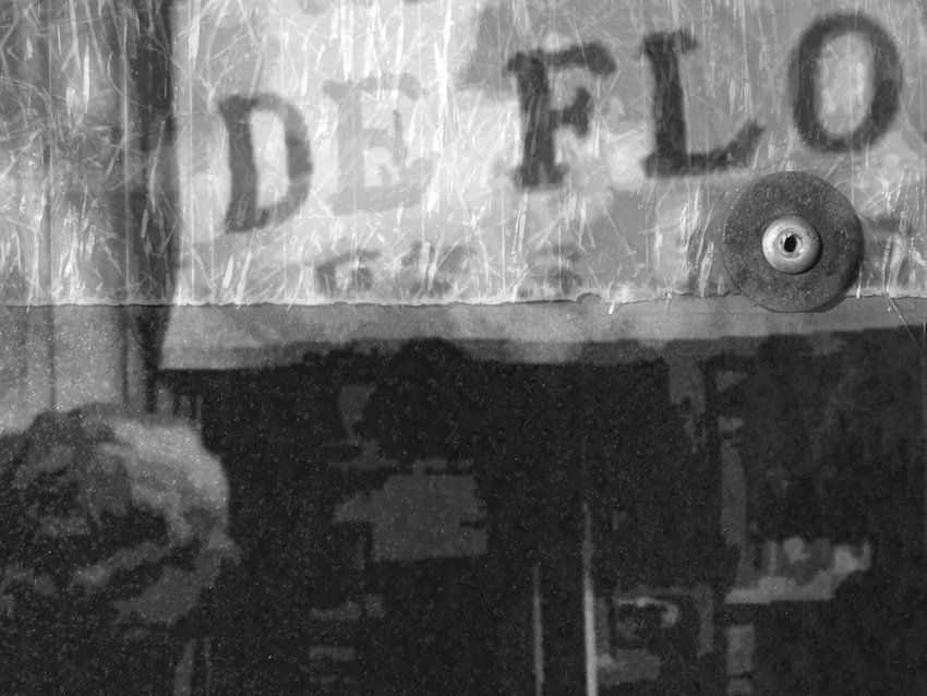 Dettaglio della carta da parati