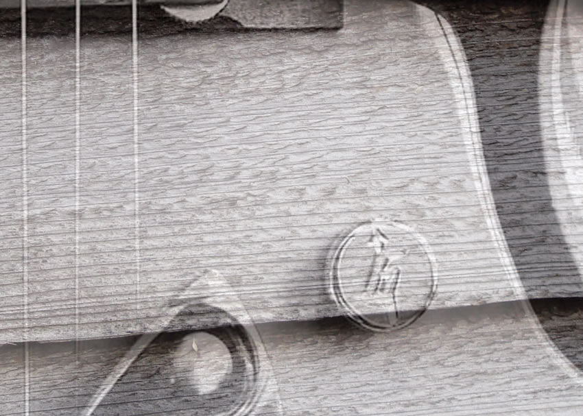 dettaglio carta da parati gretsch